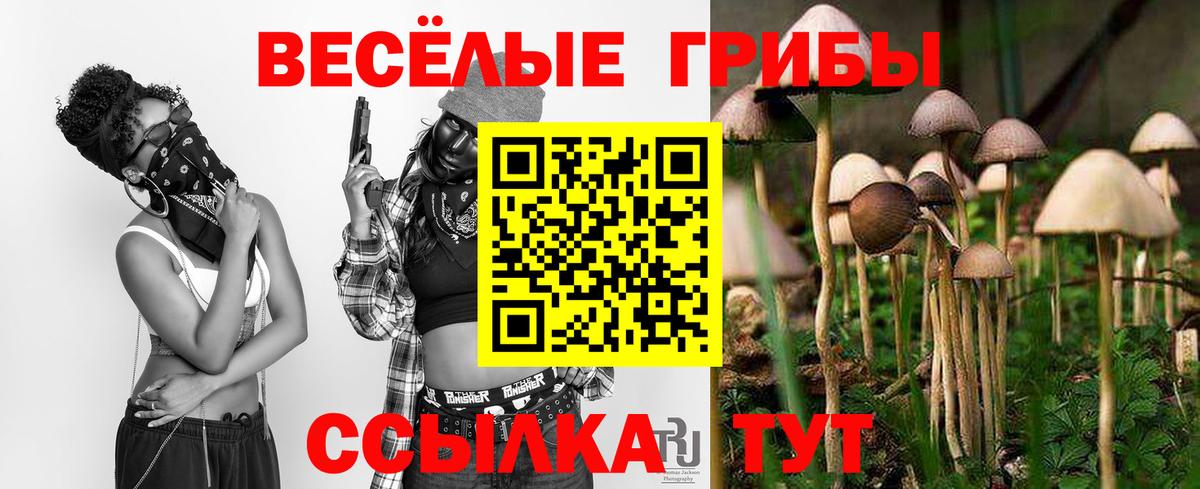Галлюциногенные грибы Magic Shrooms  Псилоцибиновые грибы прущие грибы  Вход с VPN  Саянск 